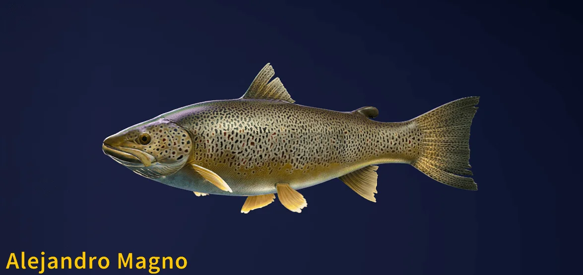 Alejandro Magno Legendary Fish Cotw The Angler Wiki