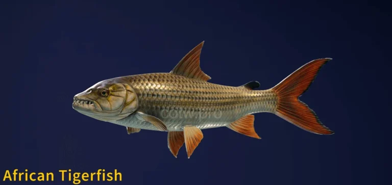 African Tigerfish in COTW The Angler game