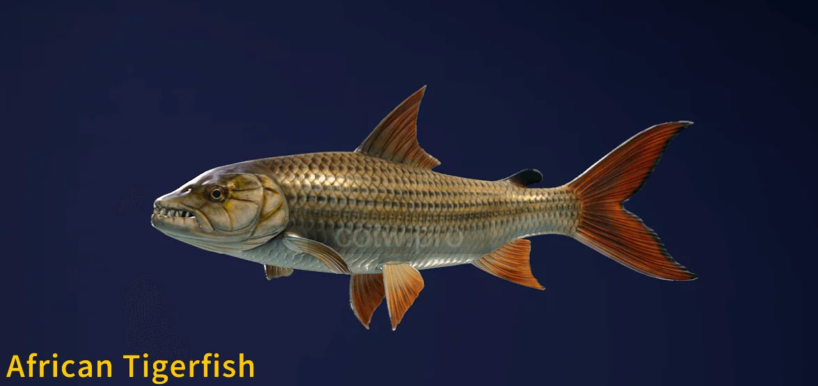 African Tigerfish in COTW The Angler game
