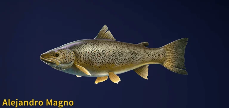 Alejandro Magno Legendary Fish