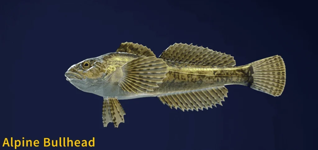 Image of an Alpine Bullhead taken from the Call of the Wild The Angler game.