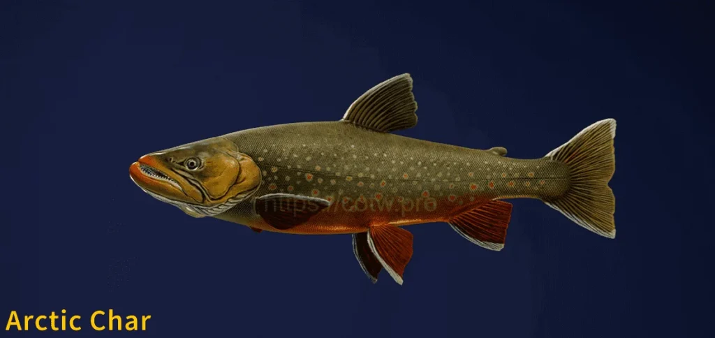 Image of an Arctic Char taken from the Call of the Wild The Angler game.