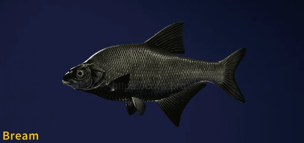 An image of a common Bream from the Call of the Wild: the Angler game.