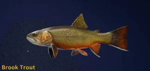 Brook ブルック　Cutthroat Trout Sweat L Brook Trout Replica - Anglers Artistry