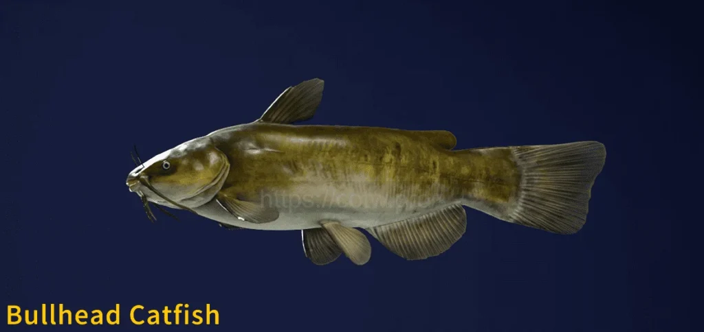 Image of a Bullhead Catfish taken from the Call of the Wild The Angler game.