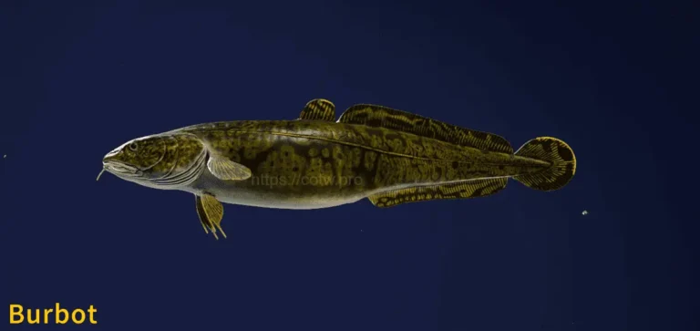 Image of a Burbot taken from the Call of the Wild The Angler game.