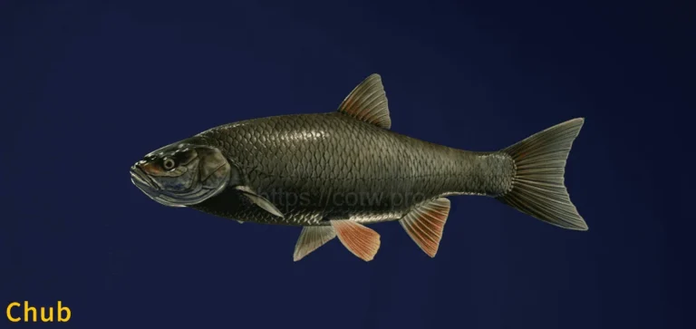 An image of a Chub taken from the Call of the Wild The Angler game