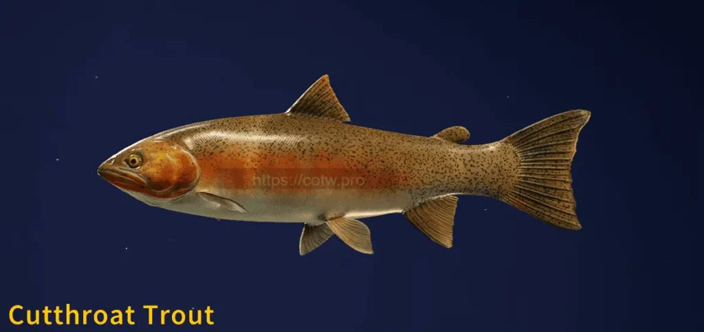 Image of a Cutthroat Trout taken from the Call of the Wild The Angler game.