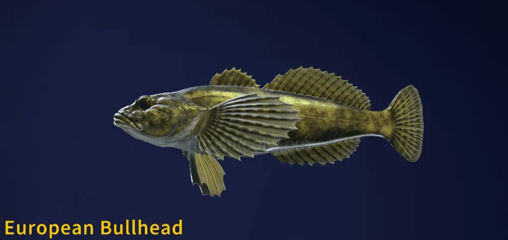 Image of an European Bullhead taken from the Call of the Wild The Angler game.