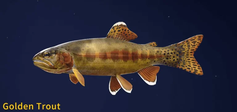 Image of a Golden Trout taken from the Call of the Wild The Angler game.