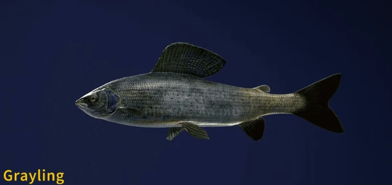 Image of an European Grayling taken from the Call of the Wild The Angler game.