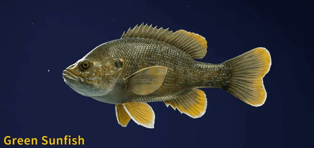 Image of a Green Sunfish taken from the Call of the Wild The Angler game.
