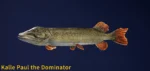 Kalle Paul the Dominator Legendary Fish