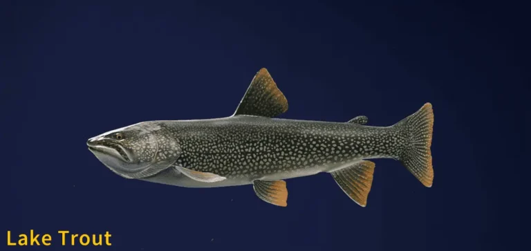 Image of a Lake Trout taken from the Call of the Wild The Angler game.