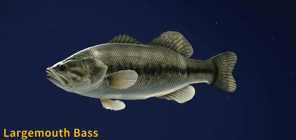Image of a Largemouth Bass taken from the Call of the Wild The Angler game.