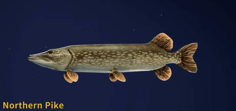 Image of a Northern Pike taken from the Call of the Wild The Angler game.