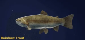 Image of a Rainbow Trout taken from the Call of the Wild The Angler game.