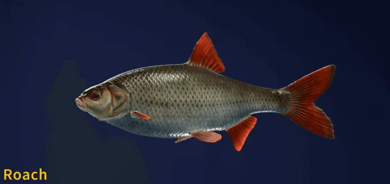 Image of an Roach taken from the Call of the Wild The Angler game.