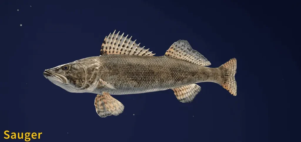 Image of a Sauger taken from the Call of the Wild The Angler game.