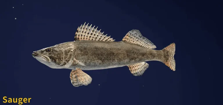 Image of a Sauger taken from the Call of the Wild The Angler game.