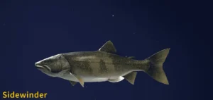 Photo of Sidewinder, a Legendary Fish in Golden Ridge Reserve