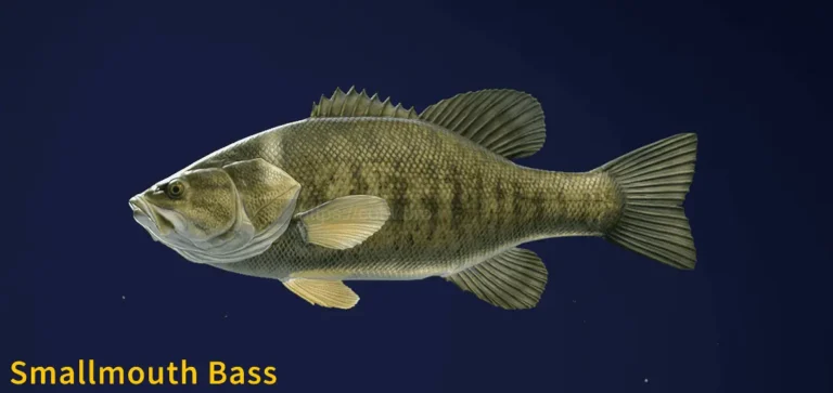 Image of a Smallmouth Bass taken from the Call of the Wild The Angler game.