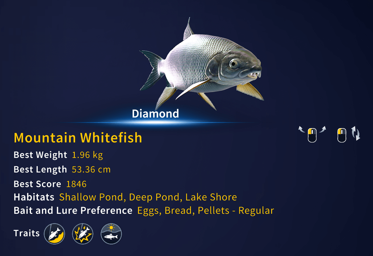 COTW The Angler Patch 1.6.7 COTW The Angler Wiki