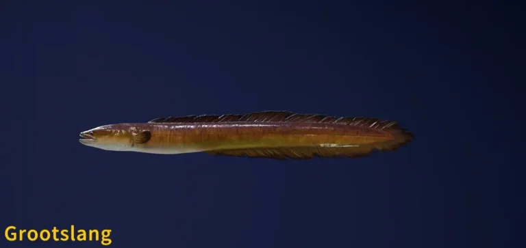 Grootslang Legendary Fish