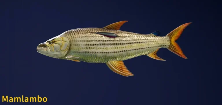 Mamlambo Legendary Fish