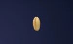 Pearl Barley thumbnail