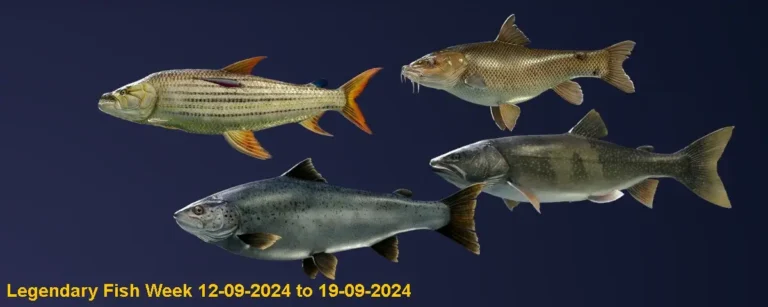 Legendary Fish this Week 05 Sept 2024 to 12 Sept 2024 in COTW the Angler Game