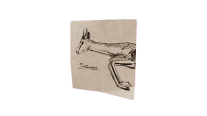 Springbok in Call of the Wild: The Angler