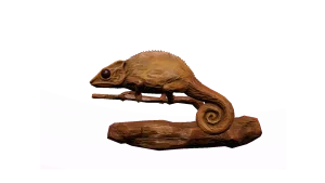 Chameleon in Call of the Wild: The Angler