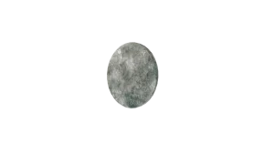 United States Bicentennial Half Dollar in Call of the Wild: The Angler