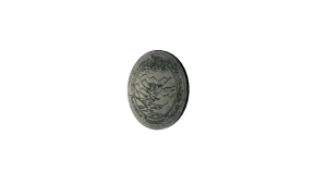 Norwegian Friendship Dollar in Call of the Wild: The Angler