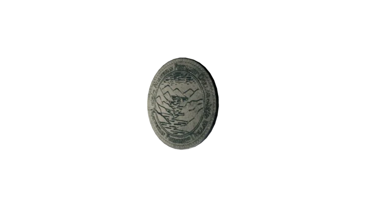 Norwegian Friendship Dollar in Call of the Wild: The Angler