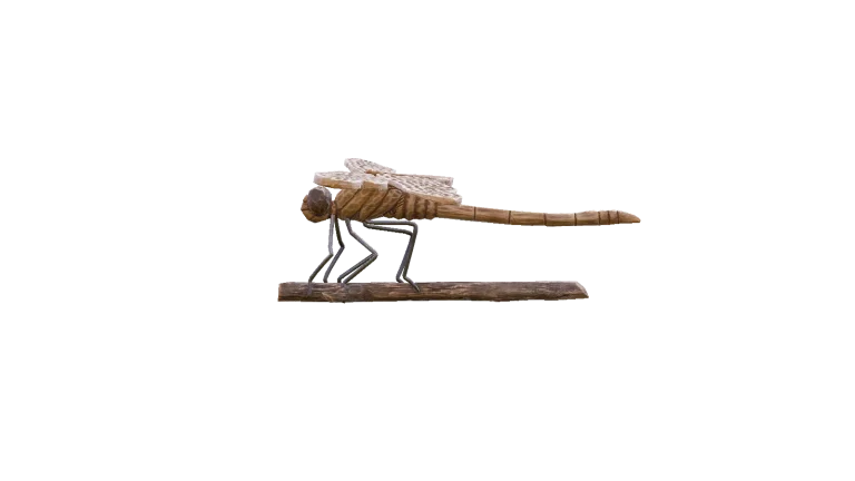 Dragonfly in Call of the Wild: The Angler