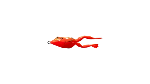 3/0