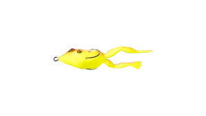 6/0