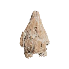 Collectible Carving 21 – Carved Gygrekjeften in Call of the Wild: The Angler