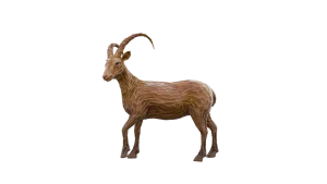 Iberian goat in Call of the Wild: The Angler
