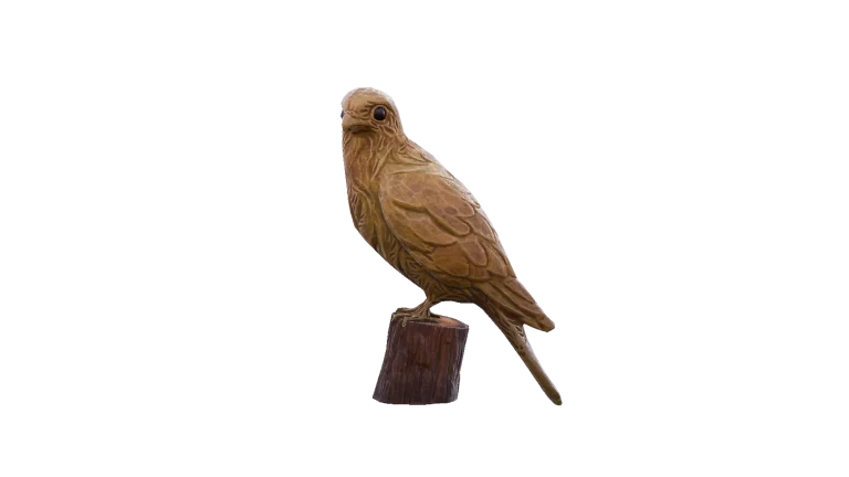 Kestrel in Call of the Wild: The Angler
