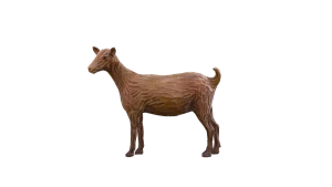 Malagueña goat in Call of the Wild: The Angler