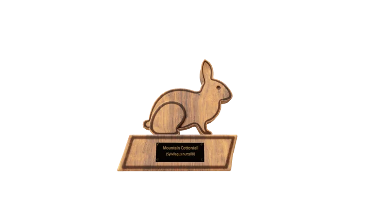 Mountain Cottontail Figure in Call of the Wild: The Angler