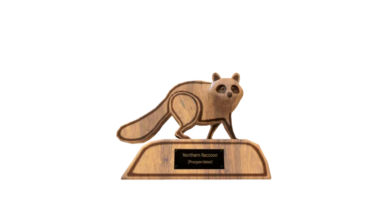 Raccoon Figure in Call of the Wild: The Angler