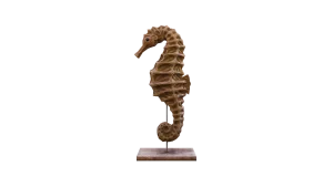 Seahorse in Call of the Wild: The Angler
