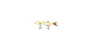 2/0