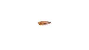 Wallet in Call of the Wild: The Angler